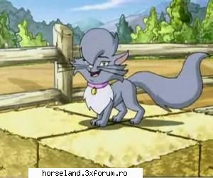 minune este pidica rasfatata foarte rasa birmaneza cam