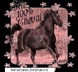 aici am sa pun imagnile mele cu cai horses images